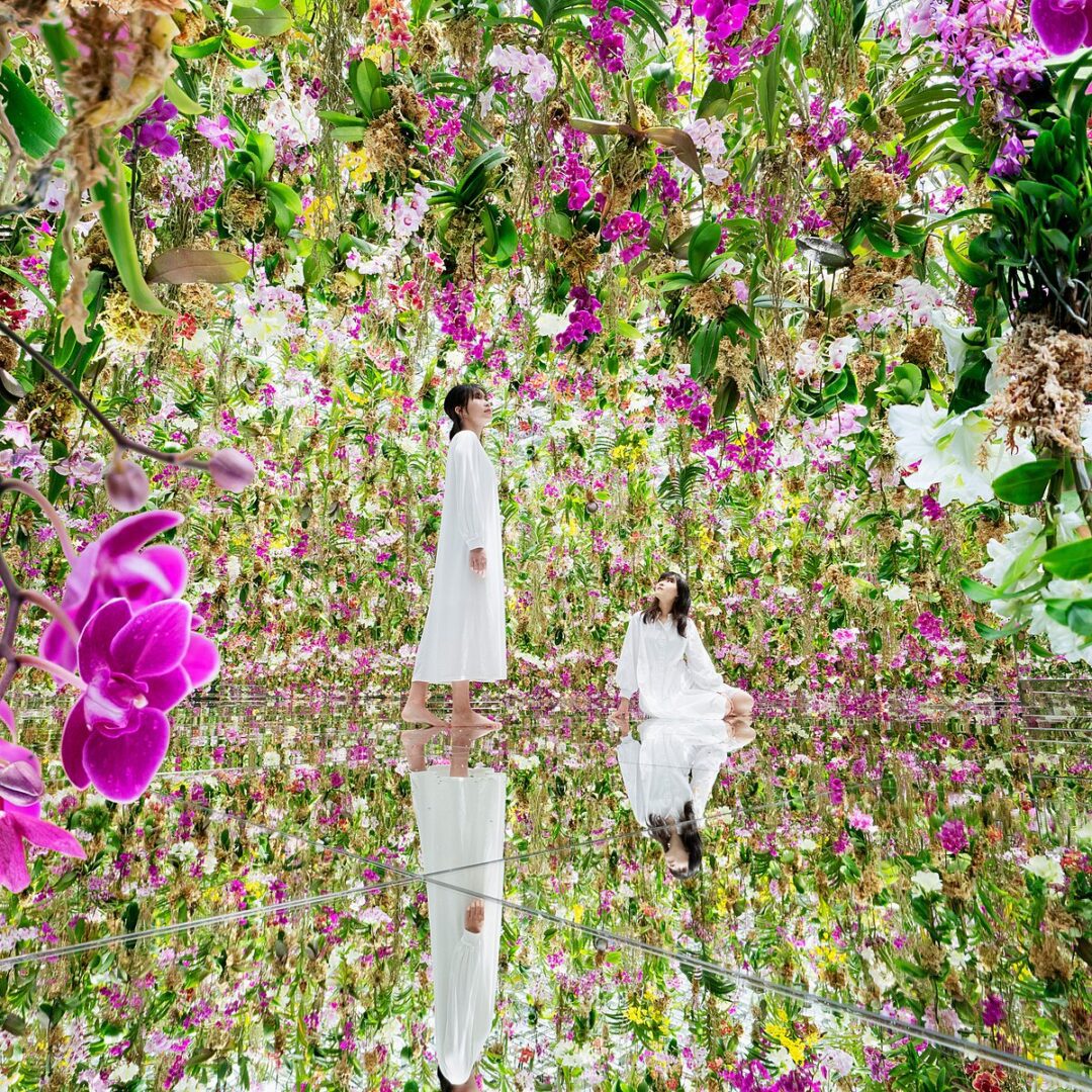 Иммерсивный музей в Токио