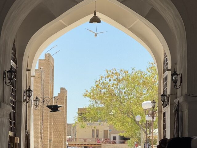 Бухара без будильника. Утренняя экскурсия в бутик-формате