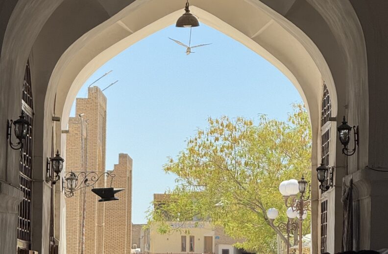 Экскурсия с гидом в Бухаре