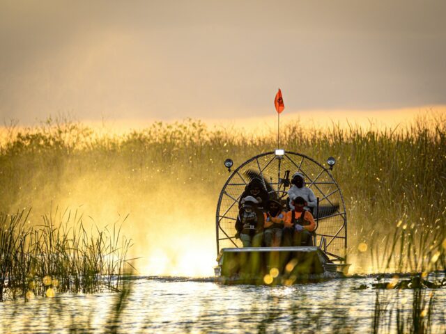 Сафари в Национальном парке Эверглейдс (на авто из Майами)