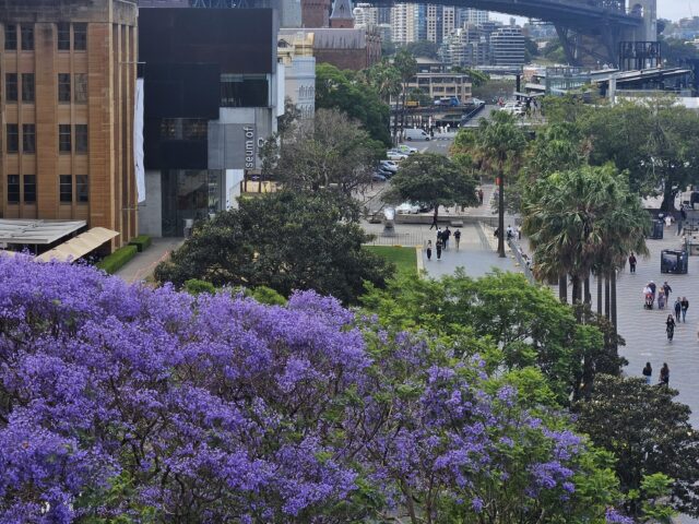 Портовая жизнь Сиднея (экскурсия в жанре тру-крайм)