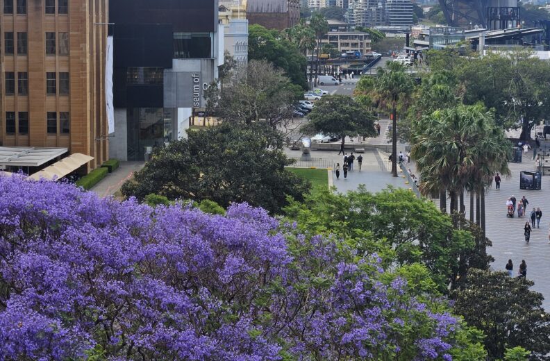 экскурсия с гидом в Сиднее